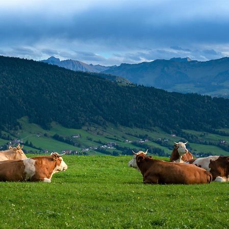 Ferienwohnung Bergpfote - Hund Herzlich Willkommen Scheidegg Exteriör bild