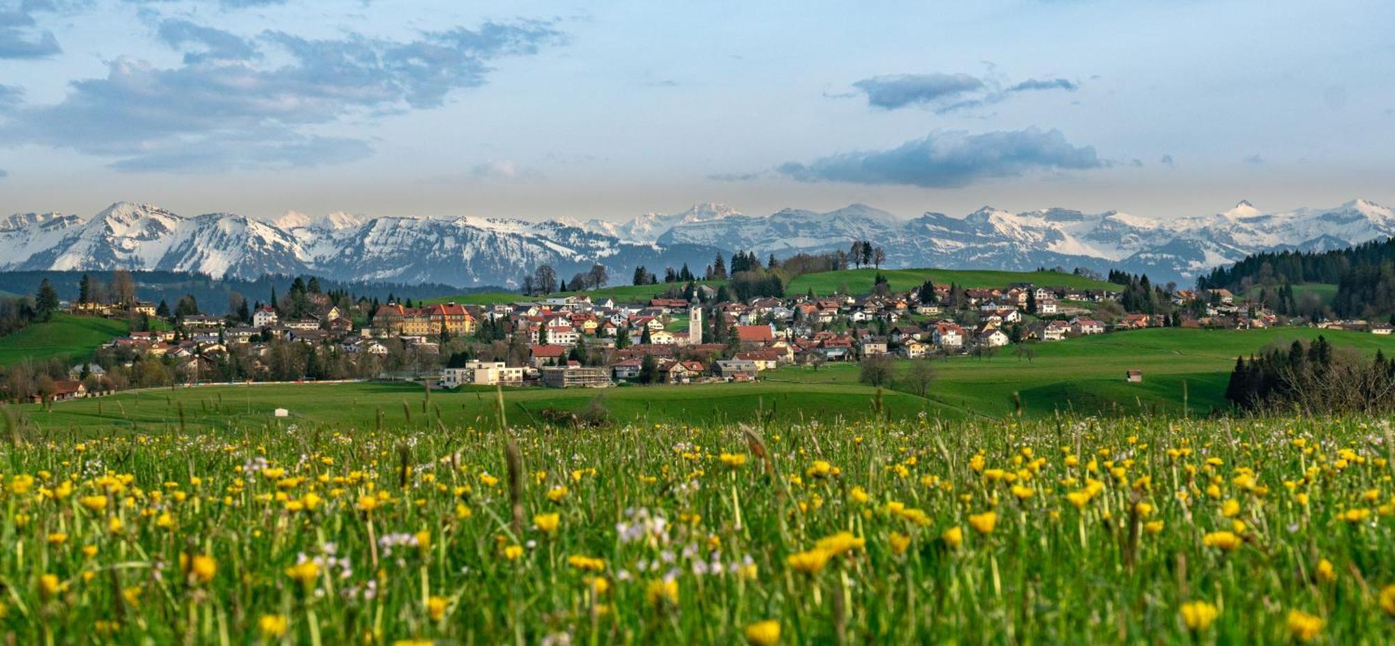 Ferienwohnung Bergpfote - Hund Herzlich Willkommen Scheidegg Exteriör bild