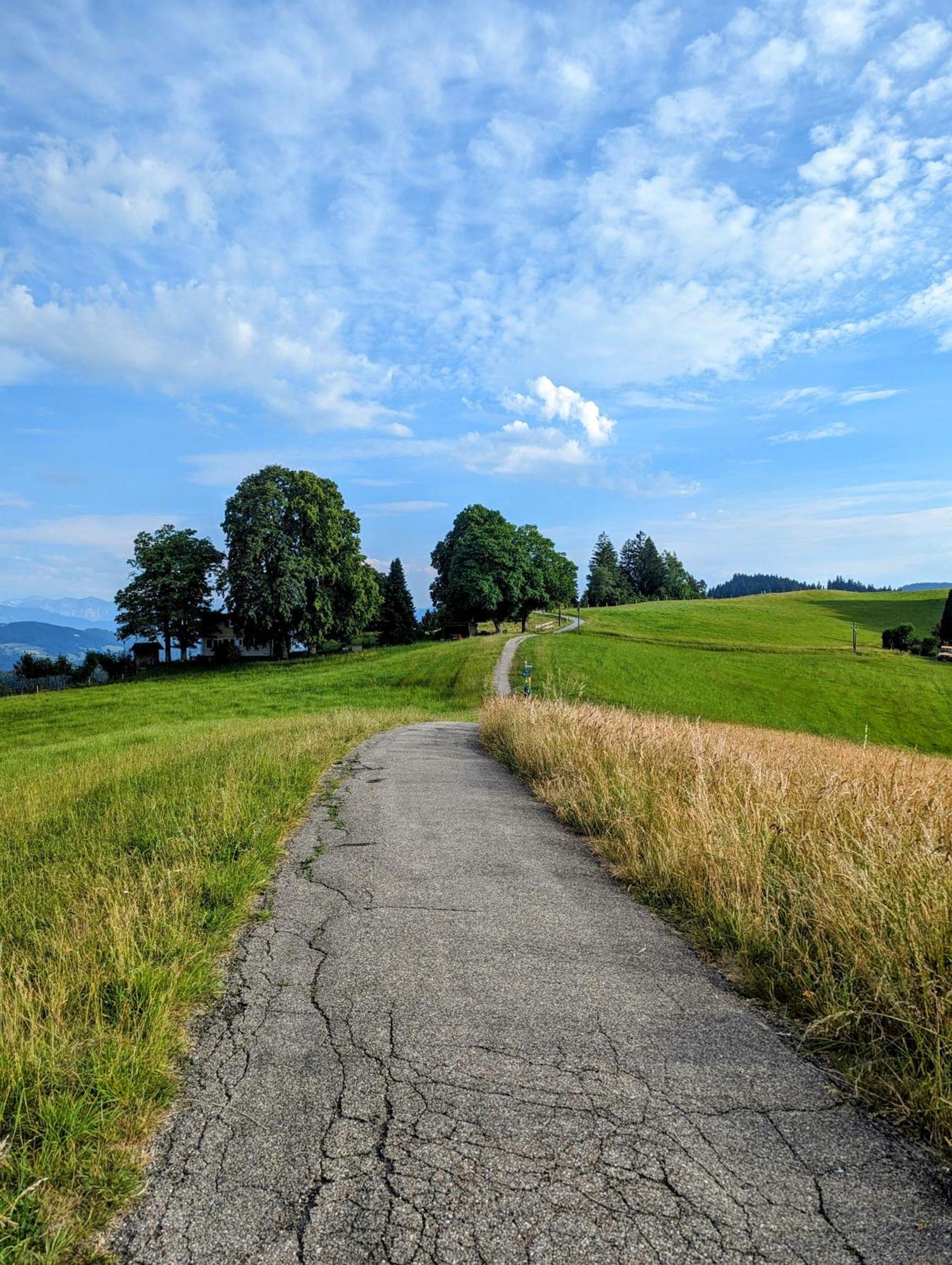 Ferienwohnung Bergpfote - Hund Herzlich Willkommen Scheidegg Exteriör bild